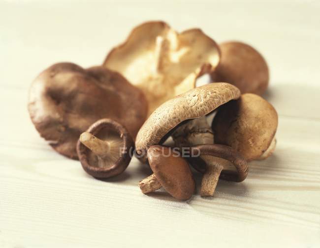 Closeup view of fresh mushrooms heap on wooden surface — Stock Photo