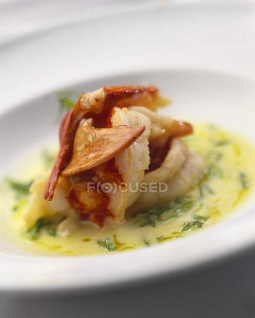 Closeup view of lobster in herbed butter sauce — Stock Photo