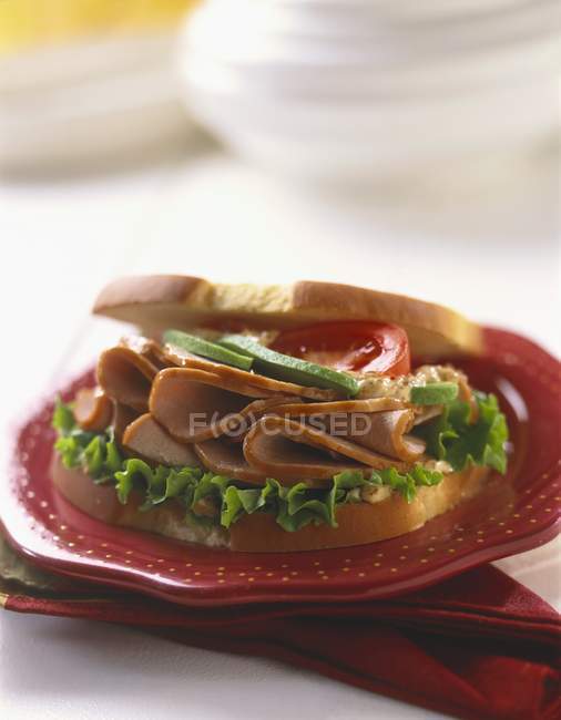 Sandwich mit Truthahn und Avocado — Stockfoto