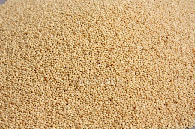 Closeup view of dry Amaranth heap background — Stock Photo