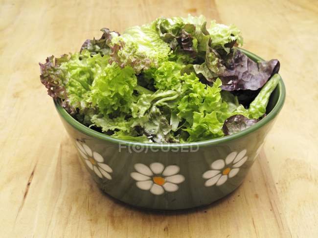 Салат из смешанных листьев в миске — стоковое фото