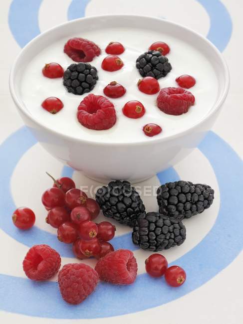 Yoghurt with fresh berries — Stock Photo