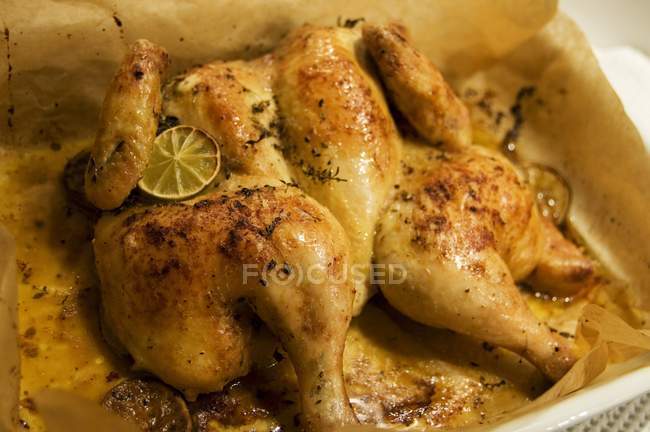 Flattened roasted whole chicken — Stock Photo