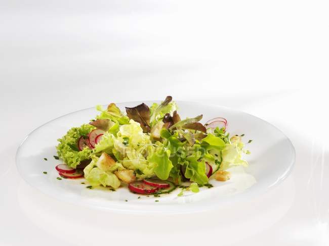 Весенний салат с редиской и гренками — стоковое фото