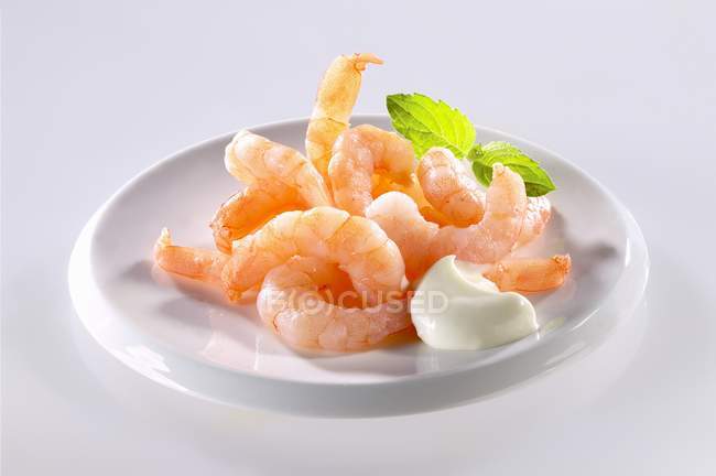 Peeled boiled shrimps with dip — Stock Photo