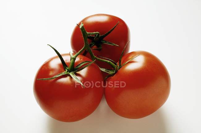 Tomates rojos frescos - foto de stock