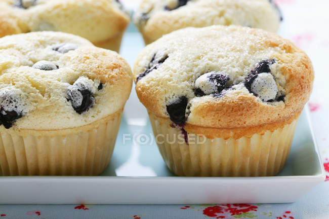 Mucchio di muffin ai mirtilli — Foto stock