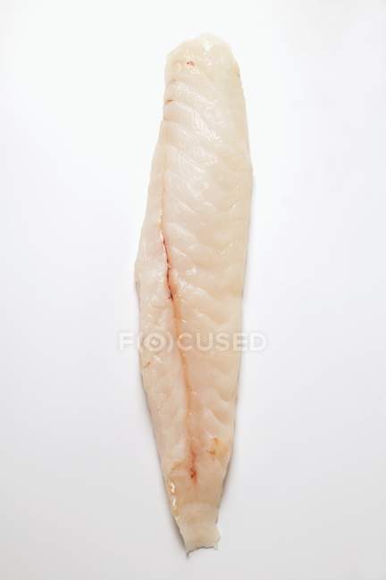 Fresh Redfish fillet — Stock Photo