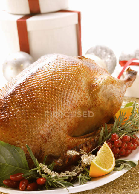 Roast goose for Christmas — Stock Photo