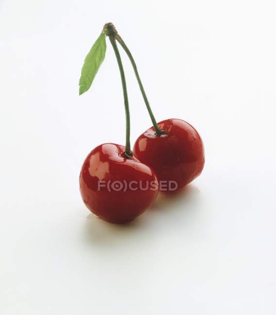 Pair of fresh washed cherries — Stock Photo