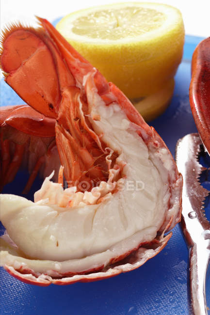 Крупним планом вид вареного омарів зі скибочками лимона — стокове фото