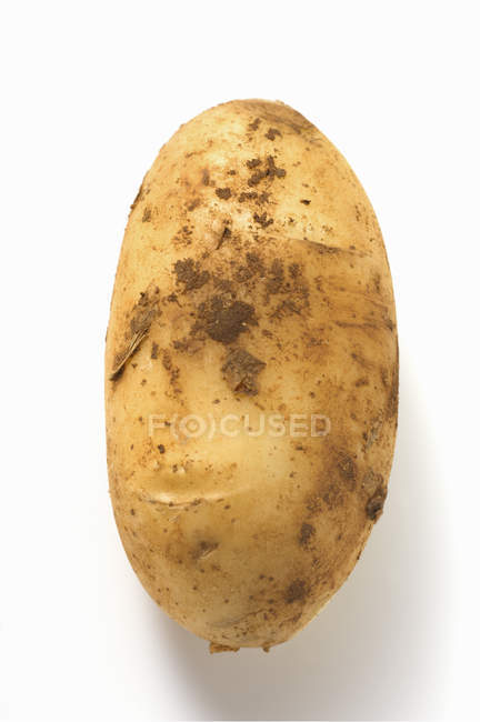 Raw potato with soil — Stock Photo