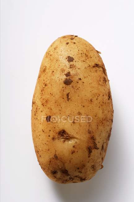Raw potato with soil — Stock Photo