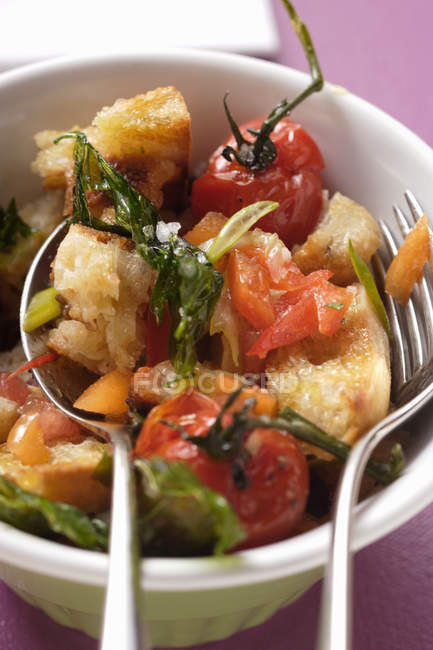 Bread salad with tomatoes — Stock Photo