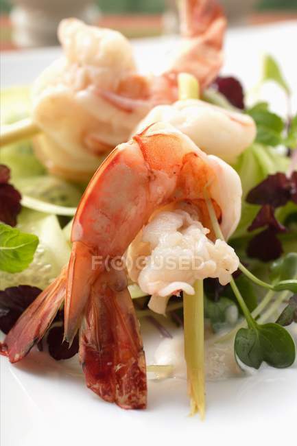 Portion of salad with shrimps — Stock Photo