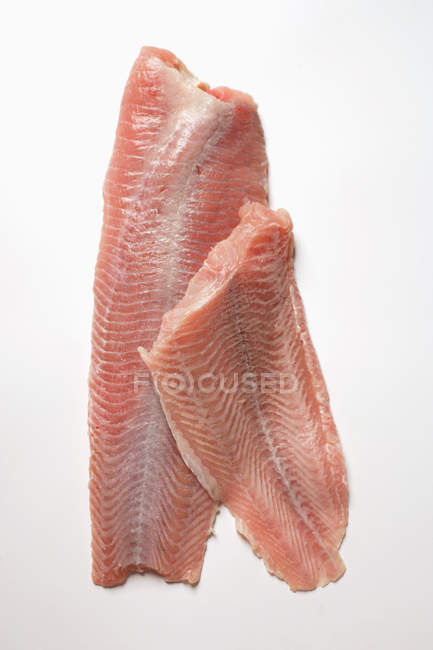 Filets de poisson-chat frais — Photo de stock