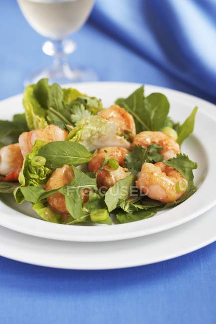 Foglie di insalata con condimento alla senape e gamberetti — Foto stock