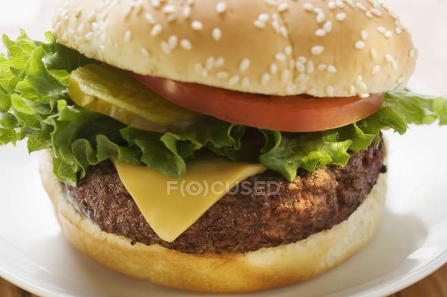 Cheeseburger with tomato and gherkin — Stock Photo