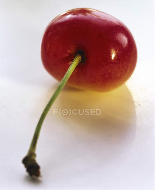 Cereza roja fresca - foto de stock