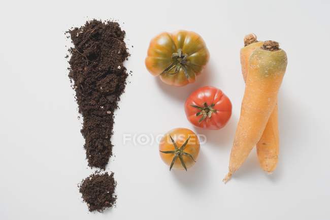 Soil forming exclamation mark — Stock Photo