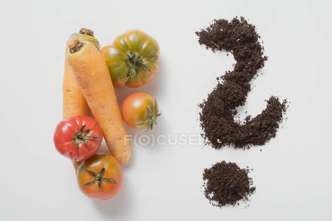 Due carote su sfondo bianco — Foto stock