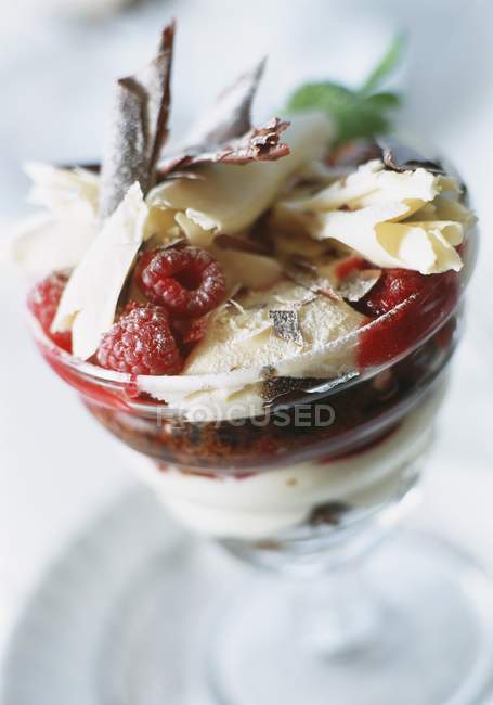 Raspberry trifle with chocolate — Stock Photo