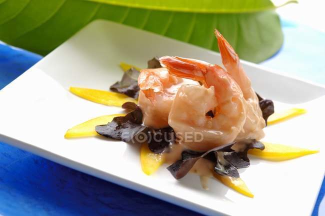 Crevettes avec vinaigrette sur laitue feuille de chêne — Photo de stock