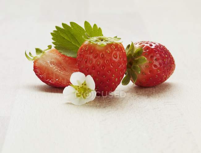 Fresas frescas con flor - foto de stock