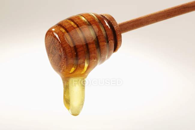 Мед капает с ложки — стоковое фото