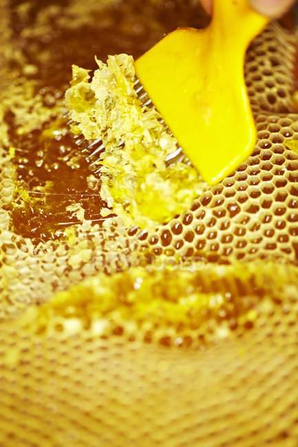 Honig wird verdorben — Stockfoto