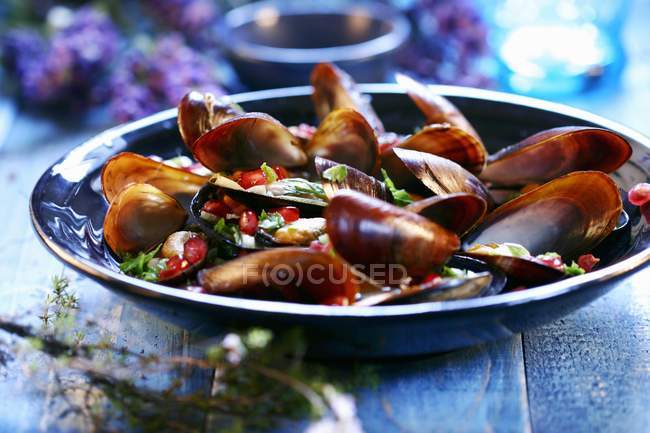 Spicy mussels on plate — Stock Photo