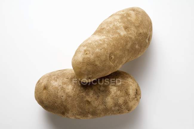Два сырых картофеля — стоковое фото
