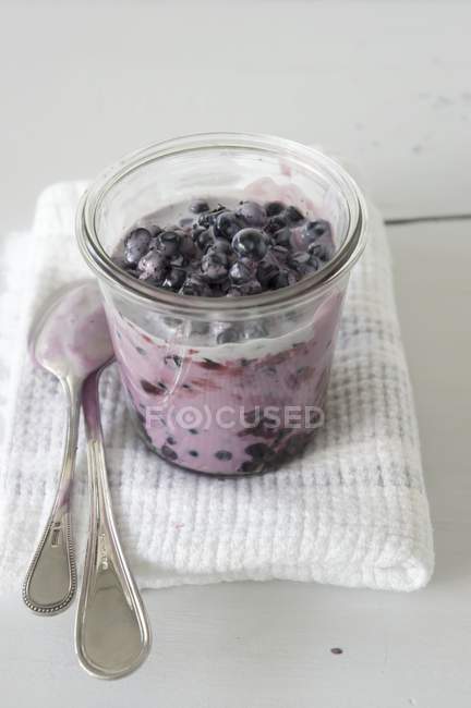 Yoghurt with wild blueberries — Stock Photo