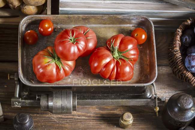 Tomates frescos en bandeja - foto de stock
