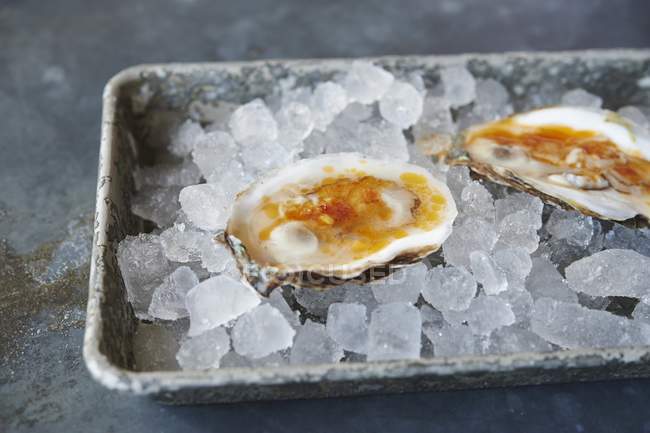 Raw oysters on ice — Stock Photo