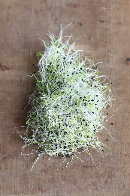 Leek sprouts on wooden — Stock Photo