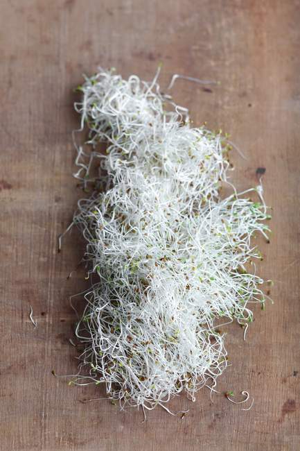 Brotes de alfalfa fresca - foto de stock