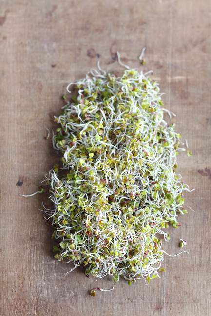 Radish sprouts on wooden — Stock Photo