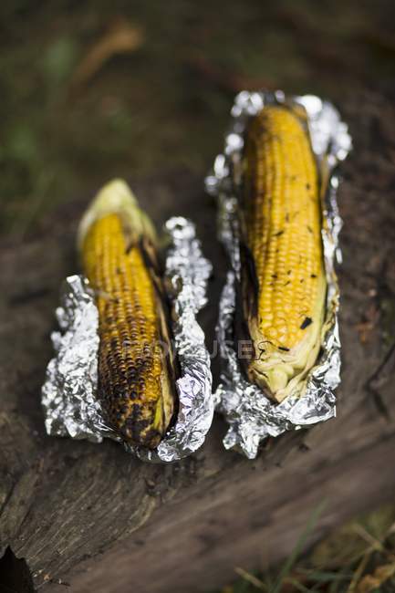 Mazorcas de maíz a la parrilla en papel de aluminio - foto de stock