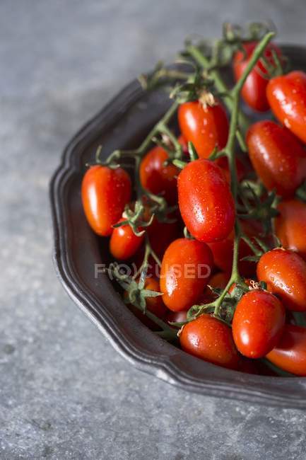 Tomates frescos de vid - foto de stock