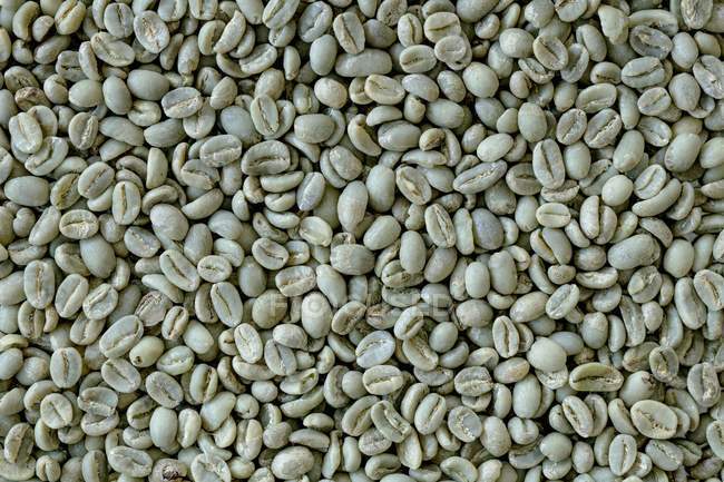 Зелений кава в зернах — стокове фото