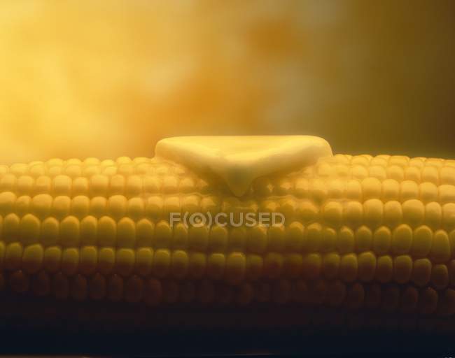Butter Melting on Corn — Stock Photo