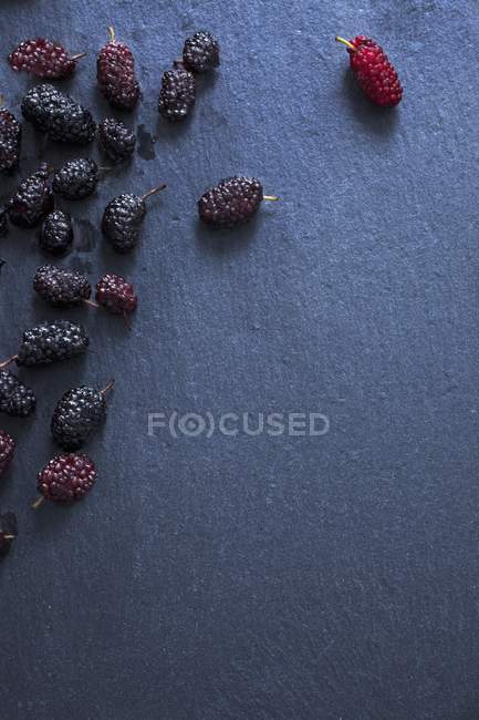 Frische reife Maulbeeren — Stockfoto