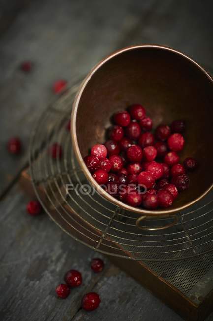 Cranberries in copper bowl — Stock Photo