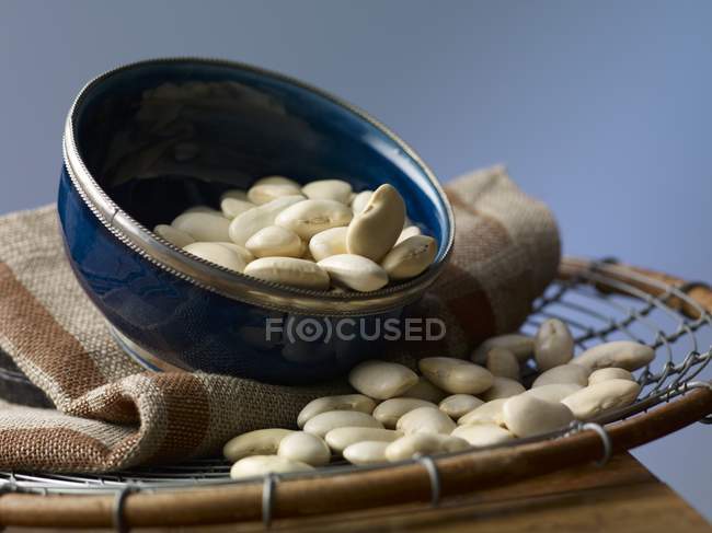 Haricots blancs dans un bol — Photo de stock