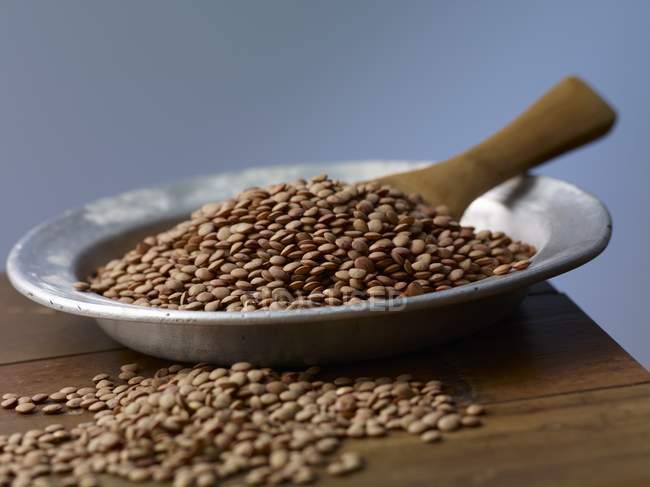 Brown lentils onl plate — Stock Photo