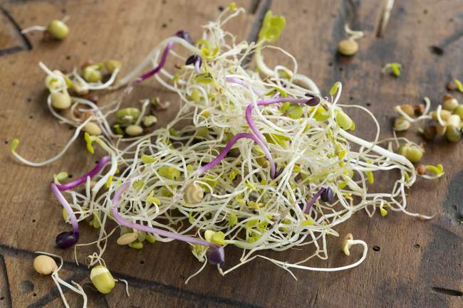 Fresh organic beansprouts — Stock Photo