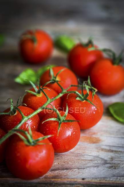 Frische Tomaten auf hölzernen — Stockfoto