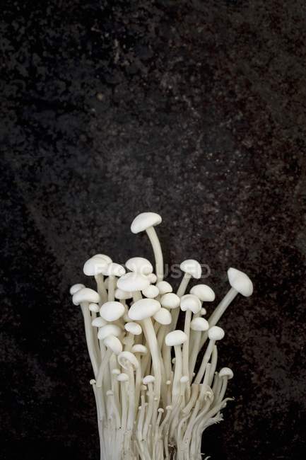 Enokitake mushrooms against a black — Stock Photo