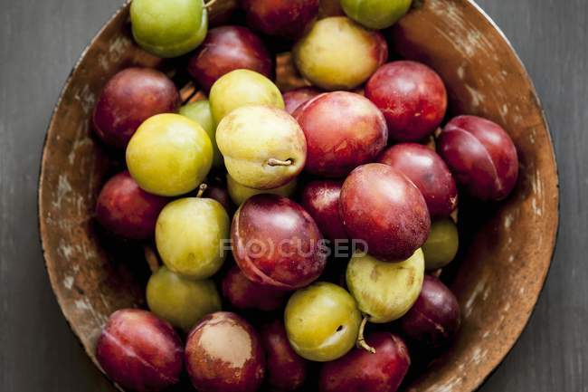 Ameixas vermelhas e amarelas frescas — Fotografia de Stock
